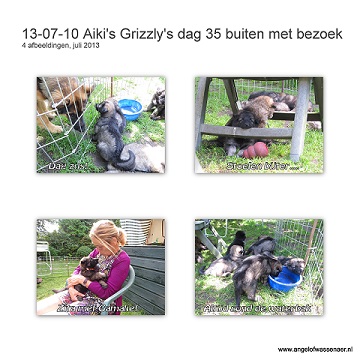 Aiki's Grizzly's dag 35 met bezoek